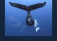 Dans l'intimité des baleines