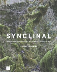 Guillaume Bonnel - Synclinal - Observatoire photographique du paysage de la forêt de Saoû.