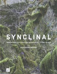 Synclinal