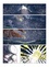 Le Petit Prince Tome 5 La planète de l'astronomie