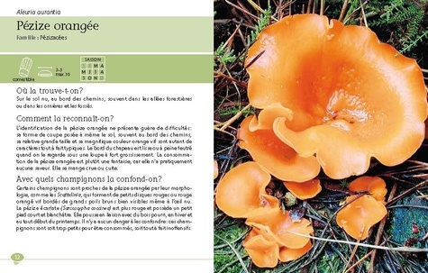 Coffret Le guide Larousse des champignons. Reconnaître les 170 espèces les plus courantes. Avec 1 couteau à champignons
