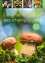 Le grand guide des champignons  édition actualisée