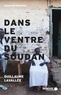 Guillaume Lavallée et  Mémoire d'encrier - Dans le ventre du Soudan - Chronique des derniers jours d'un géant.