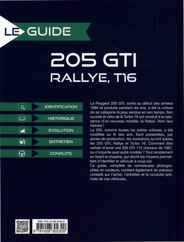 205 GTI, Rallye, T16