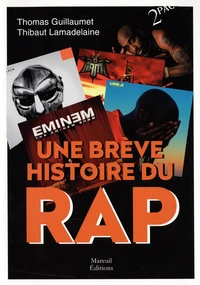 Une brève histoire du Rap