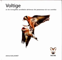 Voltige
