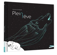 Plein rêve