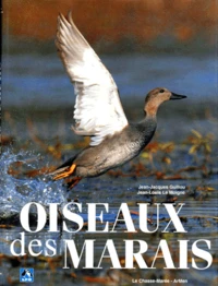 Oiseaux Des Marais