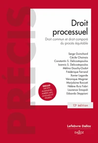 Droit processuel