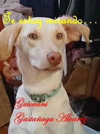 Te estoy mirando...