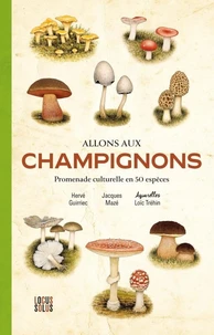 Allons aux champignons