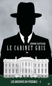 Le cabinet gris