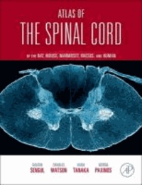 Gulgun Sengul et Charles Watson - Atlas of the Spinal Cord - Mouse, Rat, Rhesus, Marmoset, and Human.