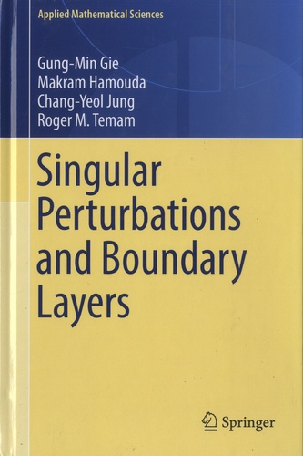 Singular Perturbations and Boundary Layers