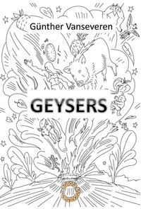 Günther Vanseveren - Geysers.