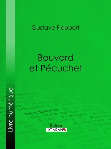  Gustave Flaubert et  Ligaran - Bouvard et Pécuchet.