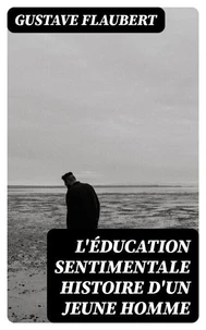 L'Éducation sentimentale histoire d'un jeune homme