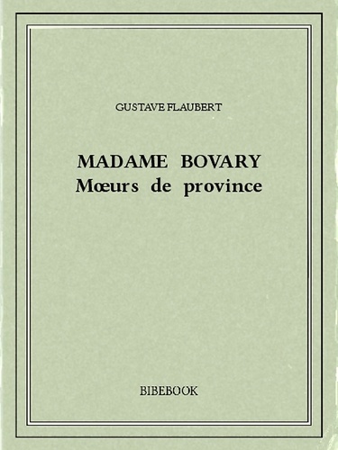 Madame Bovary — Mœurs de province