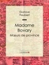 Gustave Flaubert et  Ligaran - Madame Bovary - Moeurs de province.