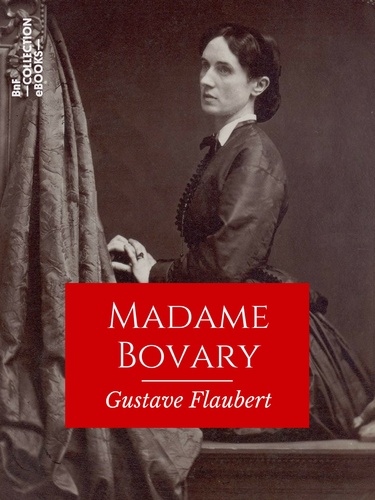 Madame Bovary. Mœurs de province