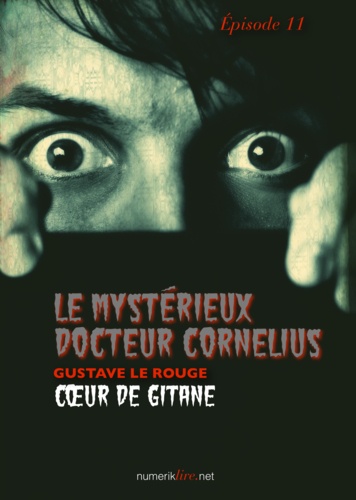 Le Mystérieux Docteur Cornélius, épisode 11. Cœur de gitane
