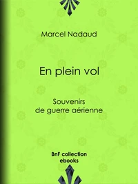 En plein vol