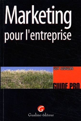 Guy Audigier - Marketing pour l'entreprise.