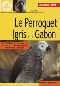 Le perroquet gris du Gabon
