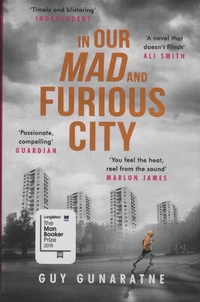 In Our Mad and Furious City