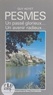 Guy Hoyet et Bernard Joly - Pesmes - Un passé glorieux... un avenir radieux....