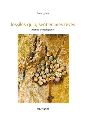 Fossiles qui gisent en mes rêves