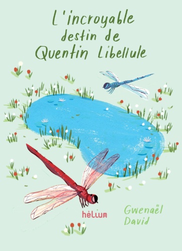 L'incroyable destin de Quentin Libellule