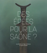 Des épées pour la Saône ?