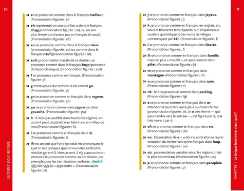 Le breton pour les nuls. Guide de conversation  Edition 2019-2020