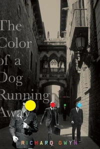 The Color of A Dog Running Away