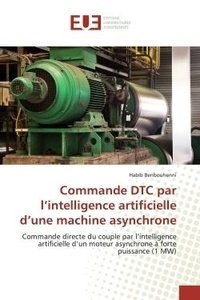 Habib Benbouhenni - Commande DTC par l'intelligence artificielle d'une machine asynchrone - Commande directe du couple par l'intelligence artificielle d'un moteur asynchrone à forte puissance.