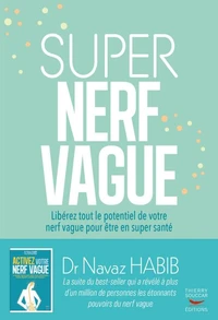 Super nerf vague