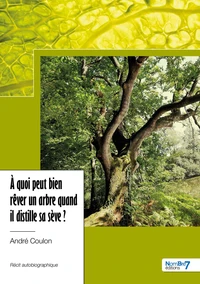 A quoi peut bien rêver un arbre quand il distille sa sève ?