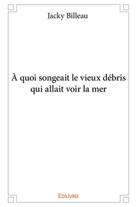 A quoi songeait le vieux débris qui allait voir la mer