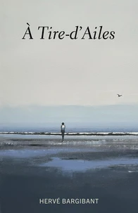 À tire-d'ailes