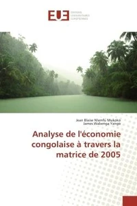 Analyse de l'economie congolaise a travers la matrice de 2005