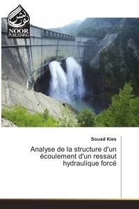 Souad Kies - Analyse de la structure d'un écoulement d'un ressaut hydraulique forcé.