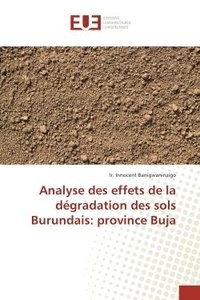 Ir. Banigwaninzigo - Analyse des effets de la degradation des sols Burundais: province Buja.