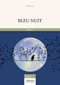 Bleu Nuit