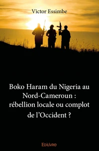 Boko Haram du Nigeria au Nord-Cameroun : rébellion locale ou complot de l'Occident ?