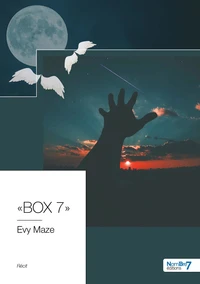 "BOX 7"