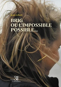 Brig ou l'impossible possible...