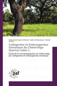Callogenese et embryogenese Somatique du Chène-liège Quercus suber L.