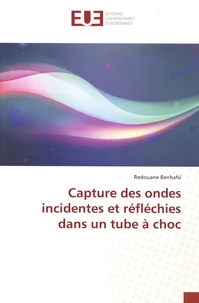 Capture des ondes incidentes et réfléchies dans un tube à choc