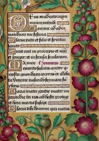  Hachette BNF - Carnet Blanc Heures Anne de Bretagne, Roses.